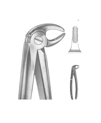 Extracting Forceps English Pattern