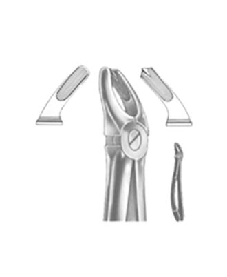 Extracting Forceps English Pattern