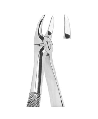 Extracting Forceps English Pattern