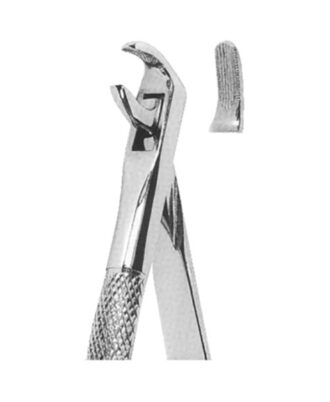Extracting Forceps English Pattern