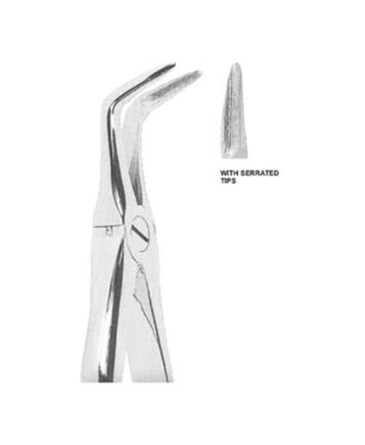 Extracting Forceps English Pattern
